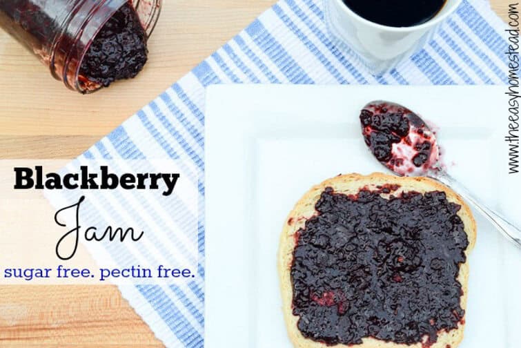 Sugar Free Blackberry jam Recipe (and no pectin)