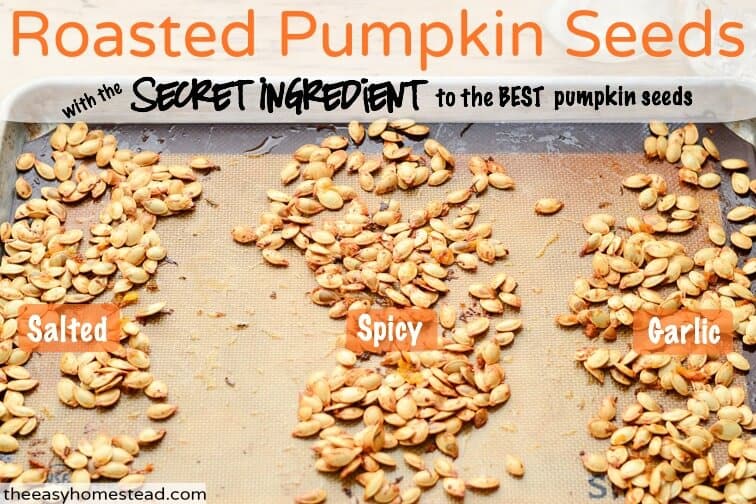 How to Roast Pumpkin Seeds