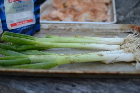 green onions prepped with fine salt before adding to oven. The bag of salt and chicken can be seen in the background.