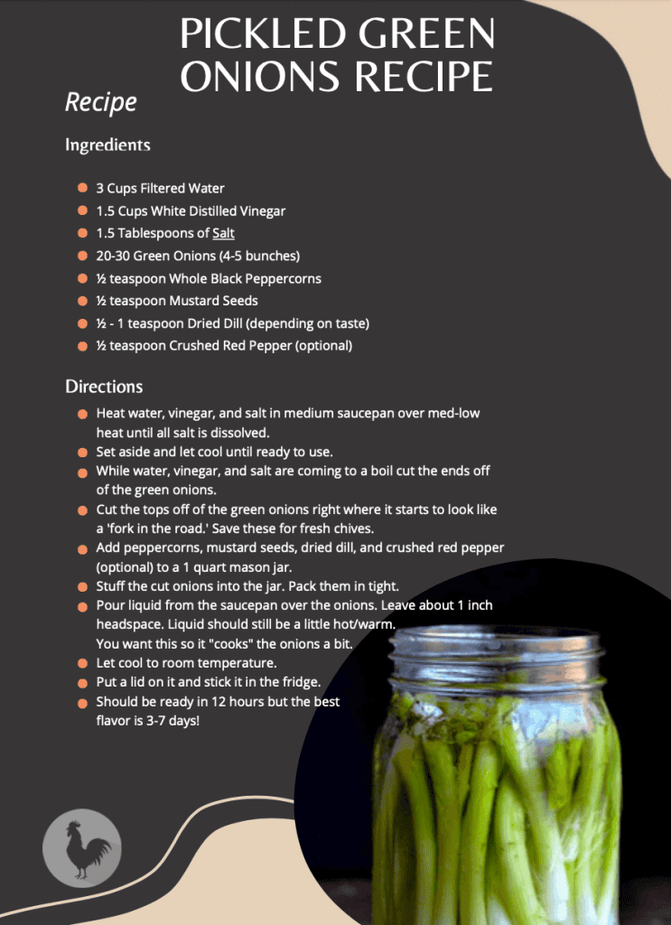 image preview of the downloadable pickled onion recipe