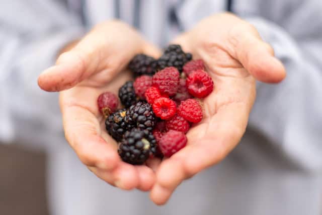 Someone wearing a grey shirt holding raspberries and blackberries in their hands with their arms extended.