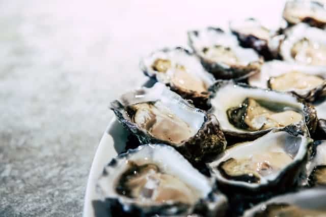 several oysters on a plate