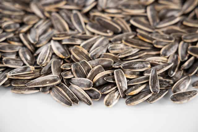 A pile of sunflower seeds on a white table.