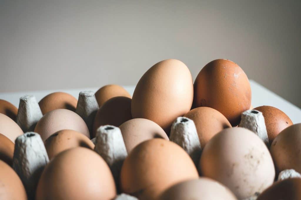 eggs in carton
