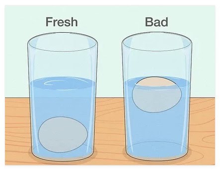 a diagram of the egg float test showing fresh eggs sinking to bottom of a cup full of water