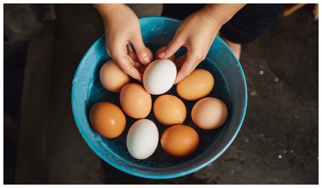 a person sitting washing eggs in a blue bowl