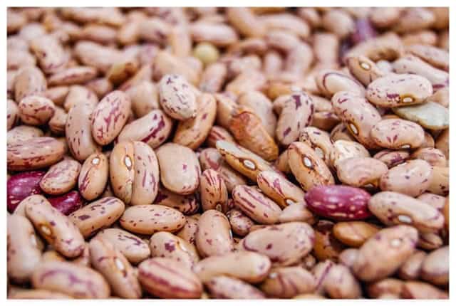 raw beans in a pile