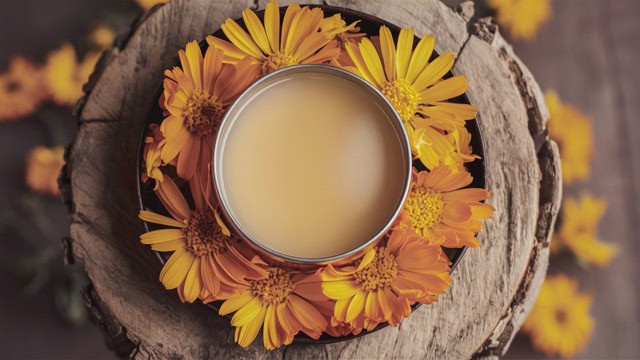 Calendula salve 