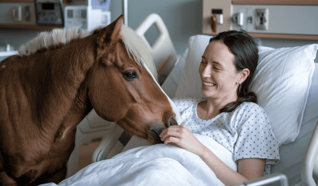 A mini horse nuzzling a patient in a hospital. The patient is lying in bed and is smiling joyfully. The patient is petting the mini horse gently. The hospital room has a serene atmosphere.