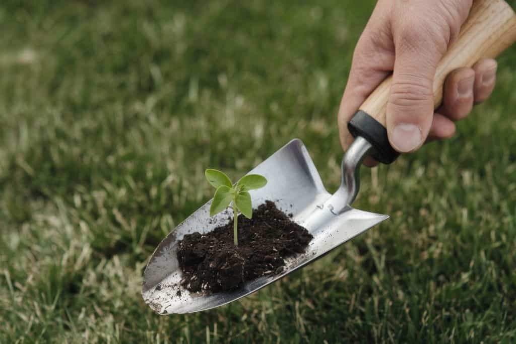 A hand holding a gardening tool, specifically a trowel, with a small patch of soil on its blade. The soil contains a young plant sprouting. The trowel is positioned over a grassy ground, and the background is filled with a lush green lawn.